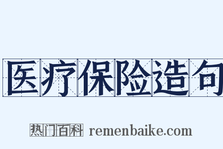 医疗保险造句是什么意思的图片